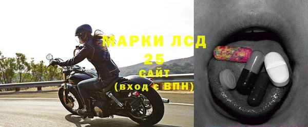 стафф Тайга