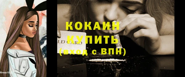 бошки Тавда