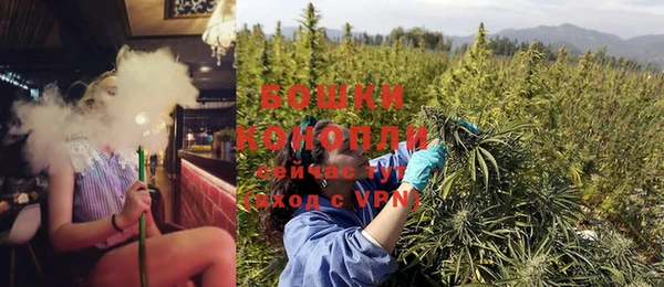 стафф Тайга