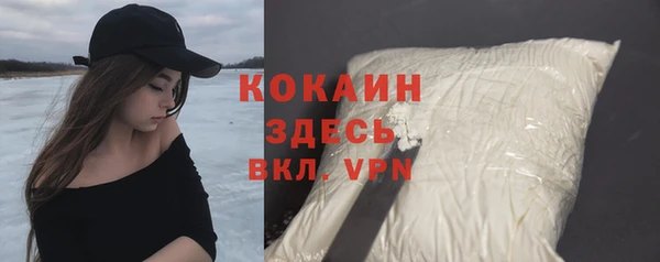 бошки Тавда