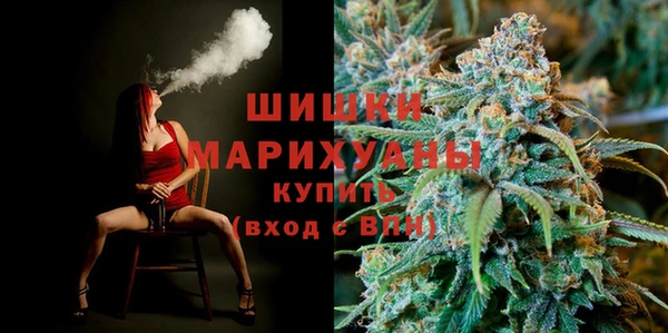 стафф Тайга