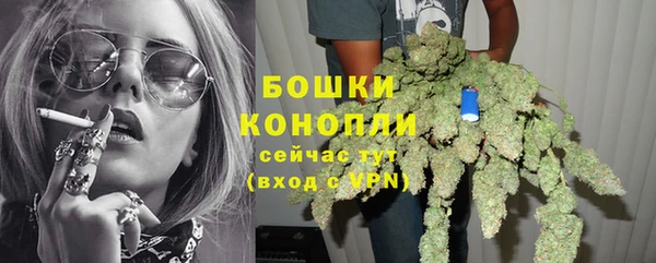 стафф Тайга