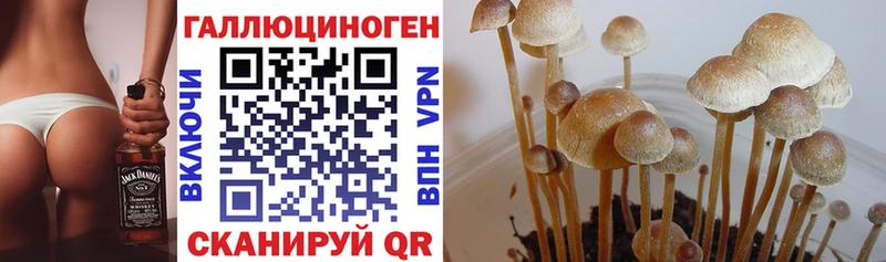 мориарти формула  Шиханы  Галлюциногенные грибы прущие грибы 
